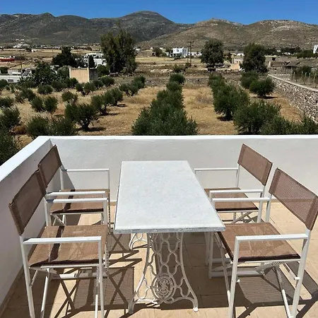 The Olive House Σπίτι διακοπών *