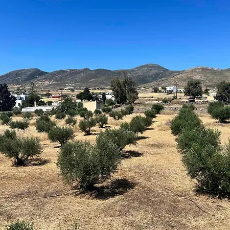 The Olive House * Μάρπησσα